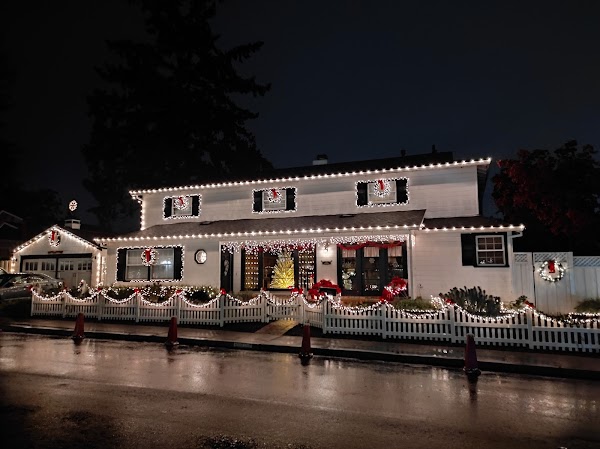 SC Christmas Tree Lane 3