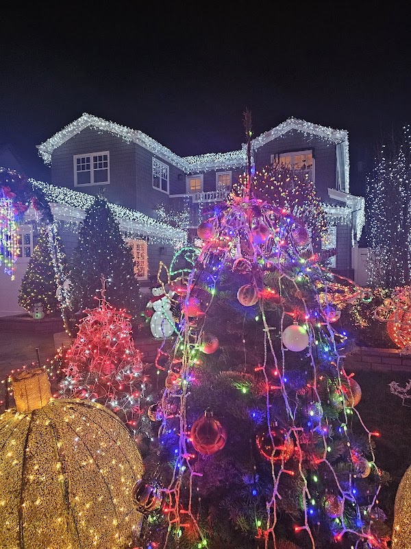 SC Christmas Tree Lane 2