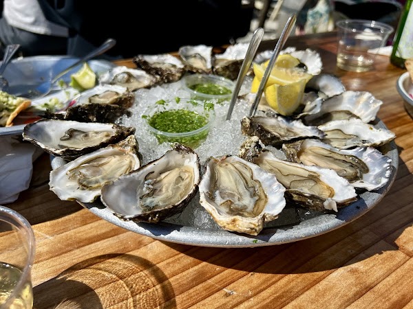 The Marshall Store 4