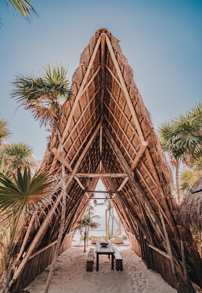 Papaya Playa Project