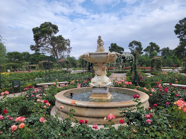 Rose Garden