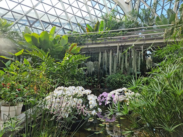 Seoul Botanic Park 5