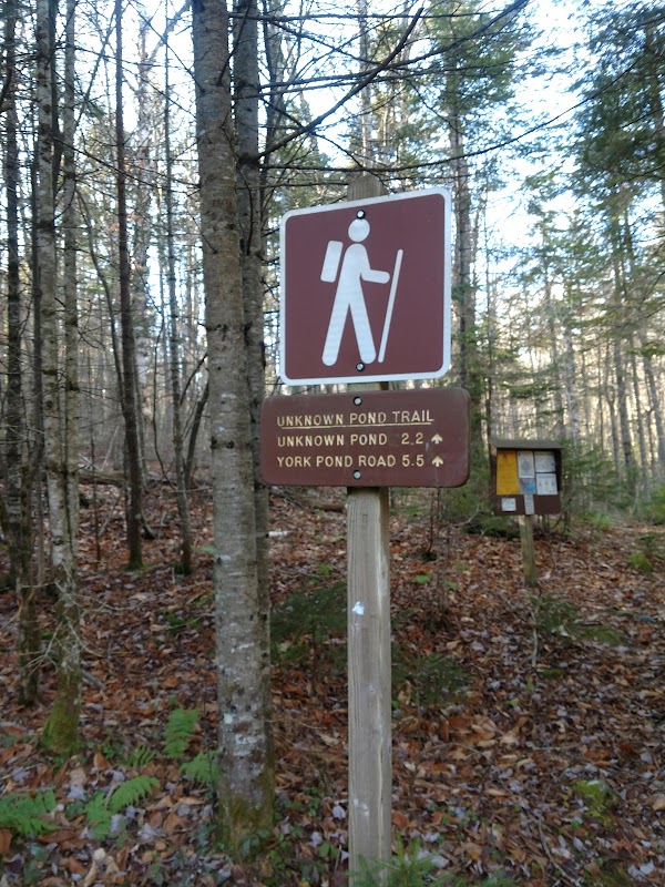 Unknown Pond North Trailhead 5