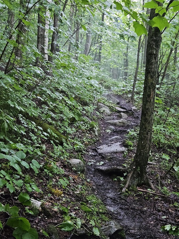 Unknown Pond North Trailhead 4