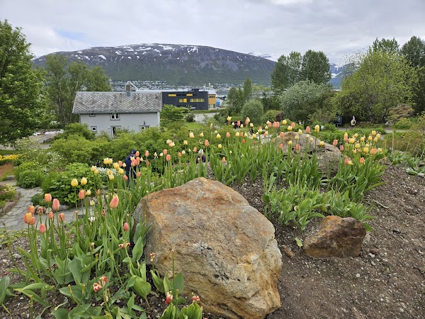 Arctic–Alpine Botanic Garden 5