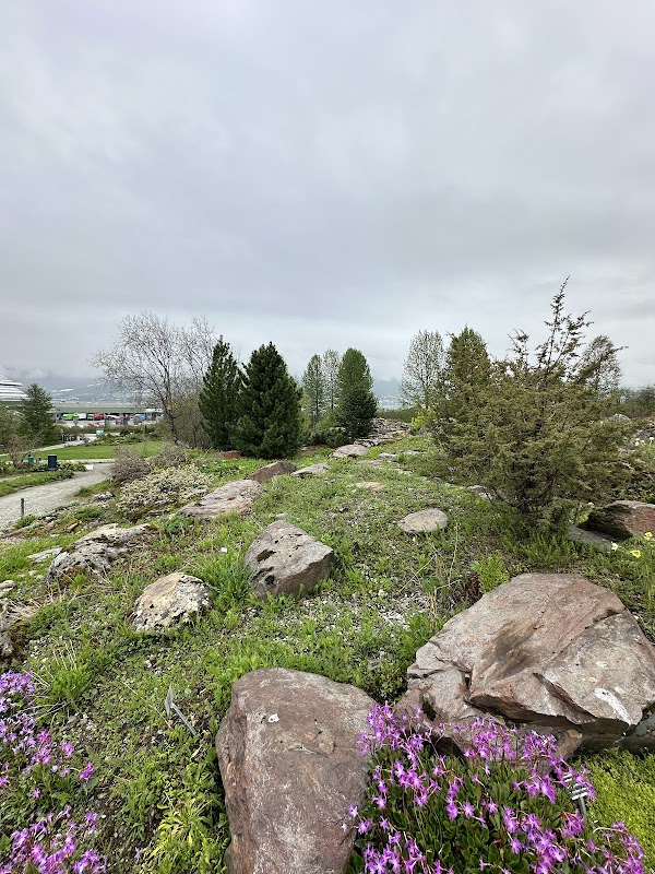 Arctic–Alpine Botanic Garden 2