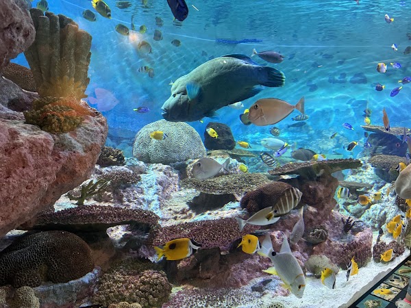 Coex Aquarium 5
