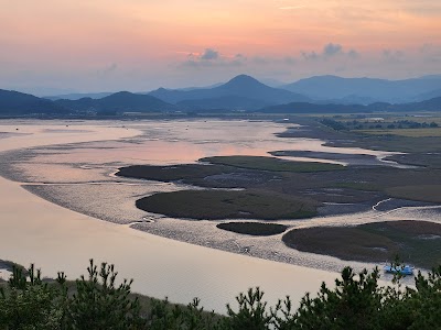 Suncheon Bay Nature Reserve 2