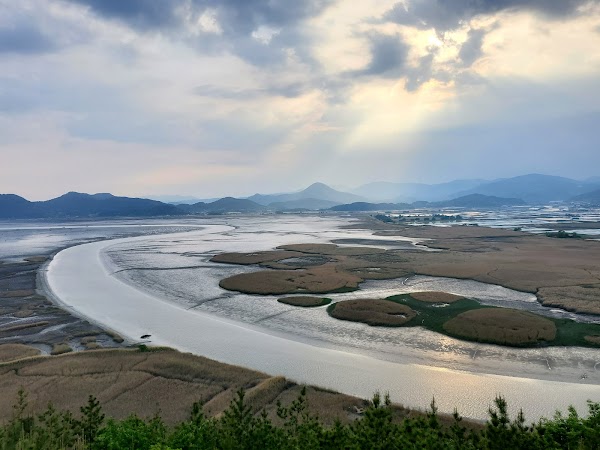 Suncheon Bay Nature Reserve 1