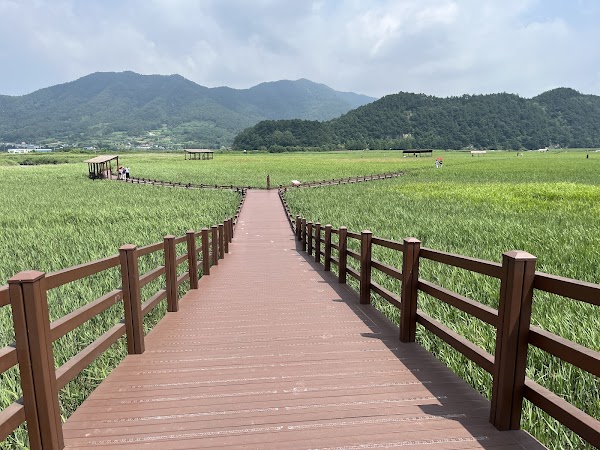 Suncheon Bay Nature Reserve 6