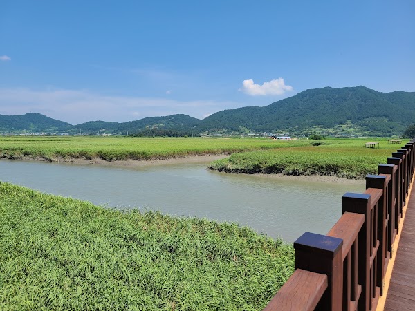 Suncheon Bay Nature Reserve 5