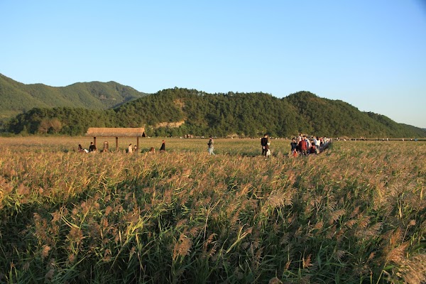 Suncheon Bay Nature Reserve 3