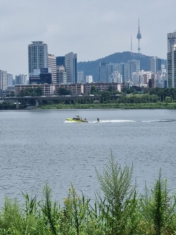 Yeouido Hangang Park 5
