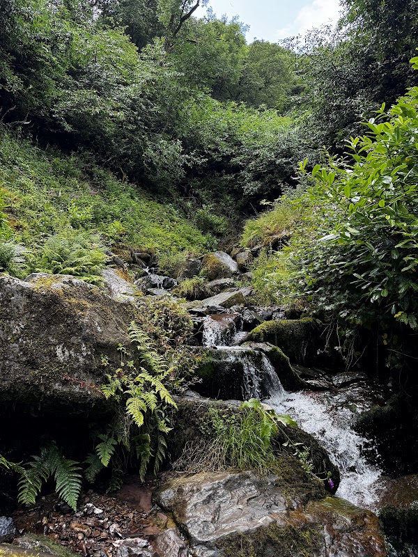 Ballysaggartmore Lodges 3