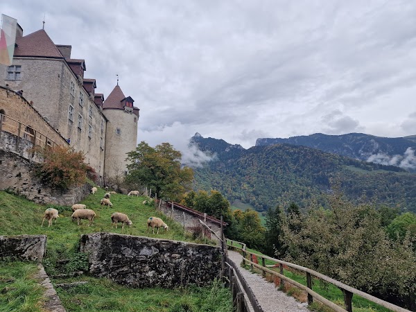 Château de Gruyères 4