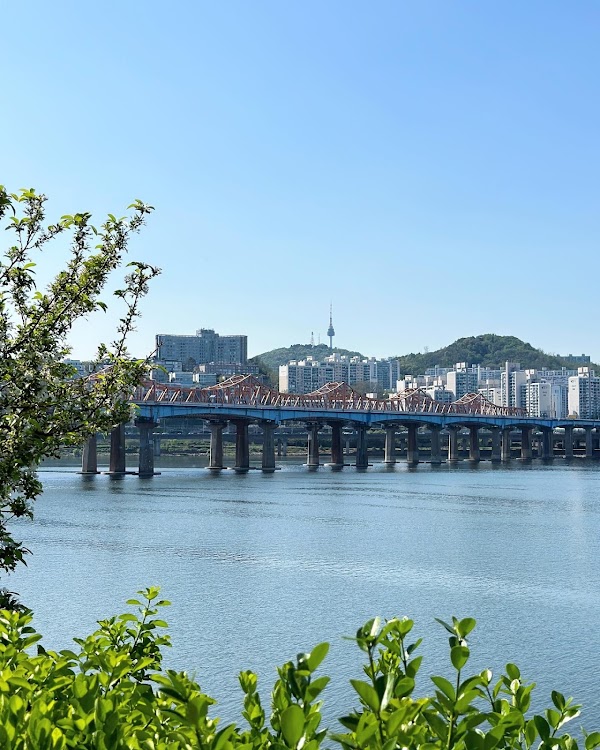 Jamwon Hangang Park 2