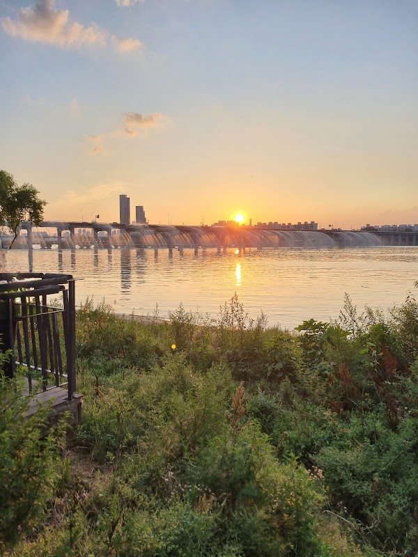 Jamwon Hangang Park 4