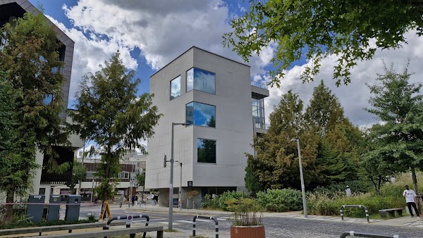 ii(아이아이) 연남