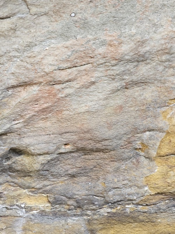 Aboriginal Heritage walk 4