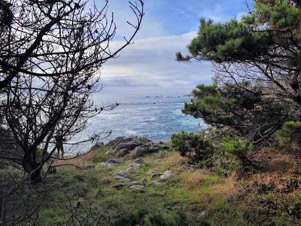 Salt Point State Park 3