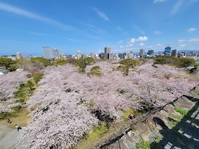 Fukuoka's Alluring Charms: A Full-Day Exploration of the City's Highlights 2
