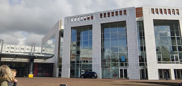 Jewish Cultural District 3