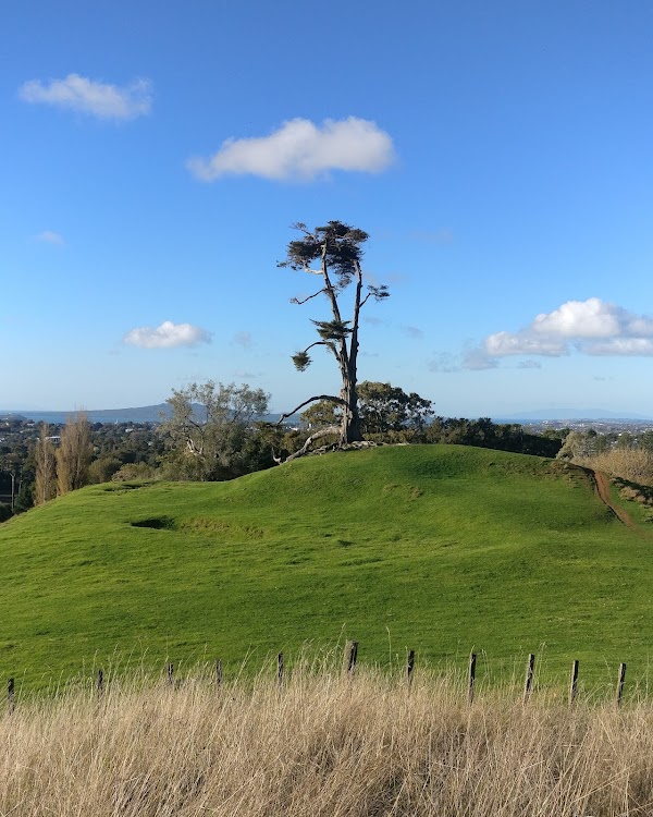 Maungakiekie / One Tree Hill 2