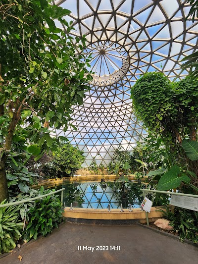 Mount Coot-tha Botanic Gardens