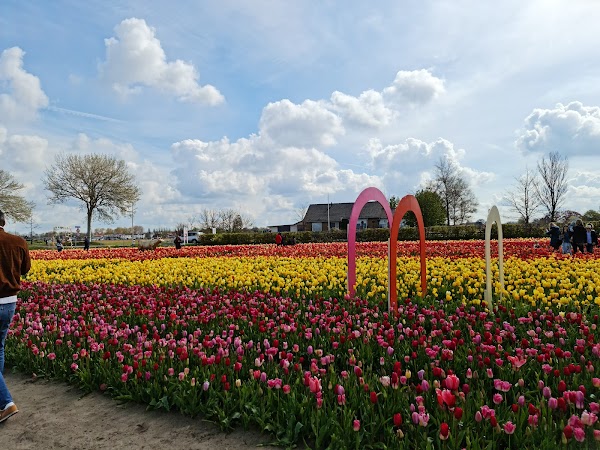 The Tulip Barn