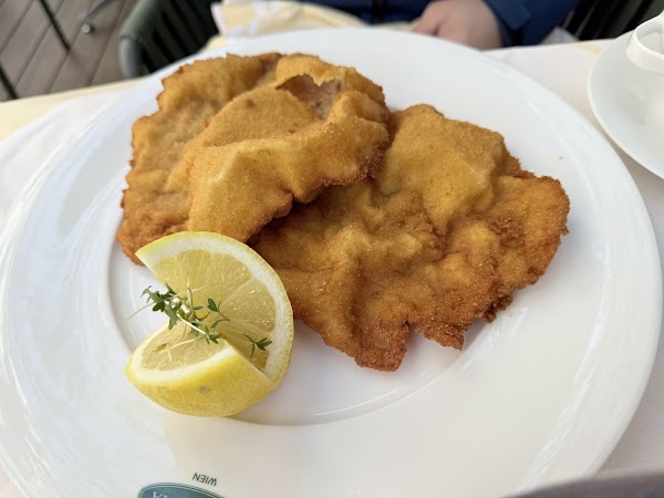 Plachutta Wollzeile 2