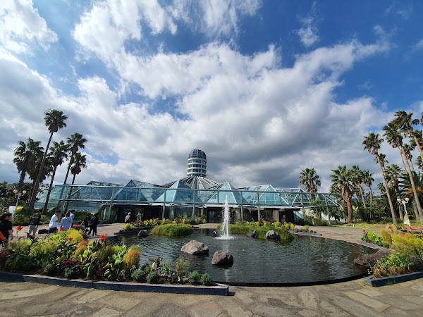 Yeomiji Botanical Garden 6