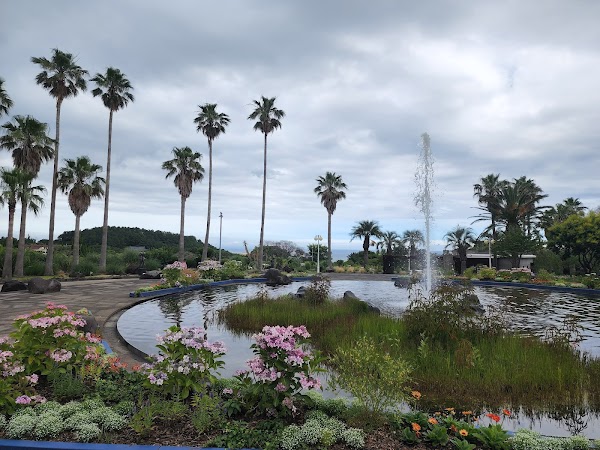 Yeomiji Botanical Garden 5