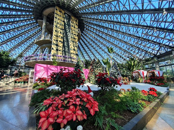 Yeomiji Botanical Garden 4