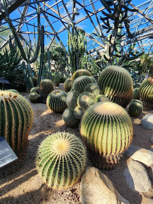 Yeomiji Botanical Garden 3