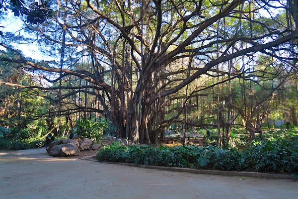 Botanical Garden Hamma 3