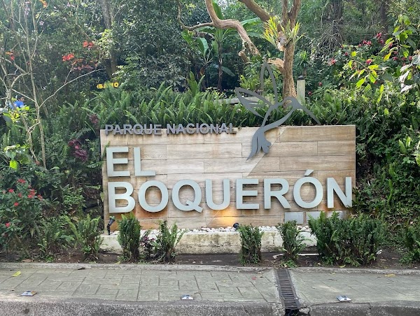 El Boqueron National Park 5