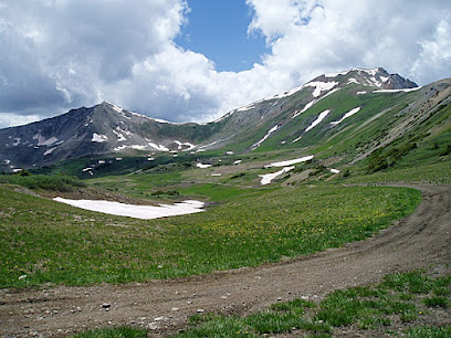 Gunnison National Forest 1