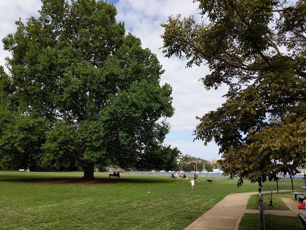 North Harbour Reserve 1