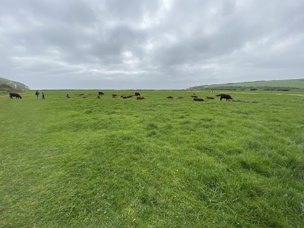 Seven Sisters Cliffs 4