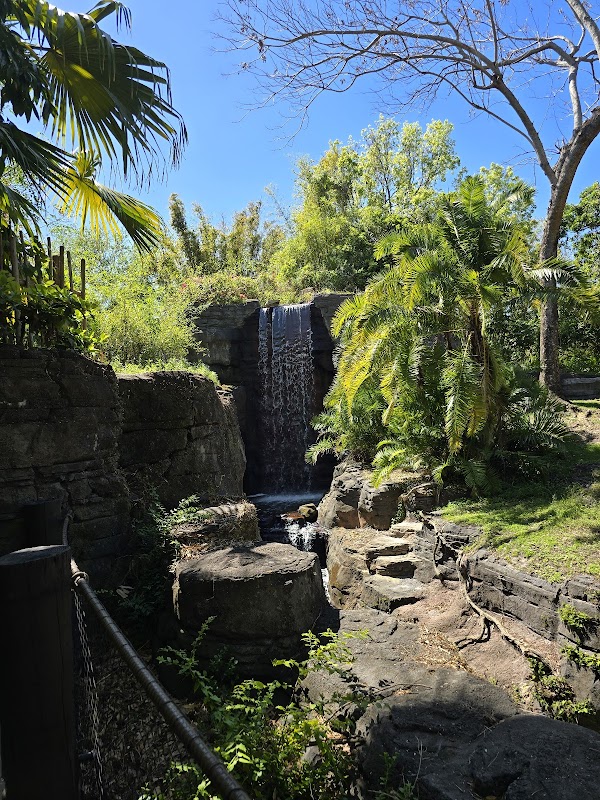 Gorilla Falls Exploration Trail 3