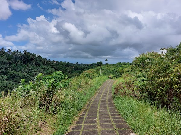 Campuhan Ridge Walk 1