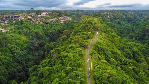 Campuhan Ridge Walk 5