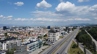 Sofia