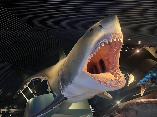 National Aquarium Denmark 3