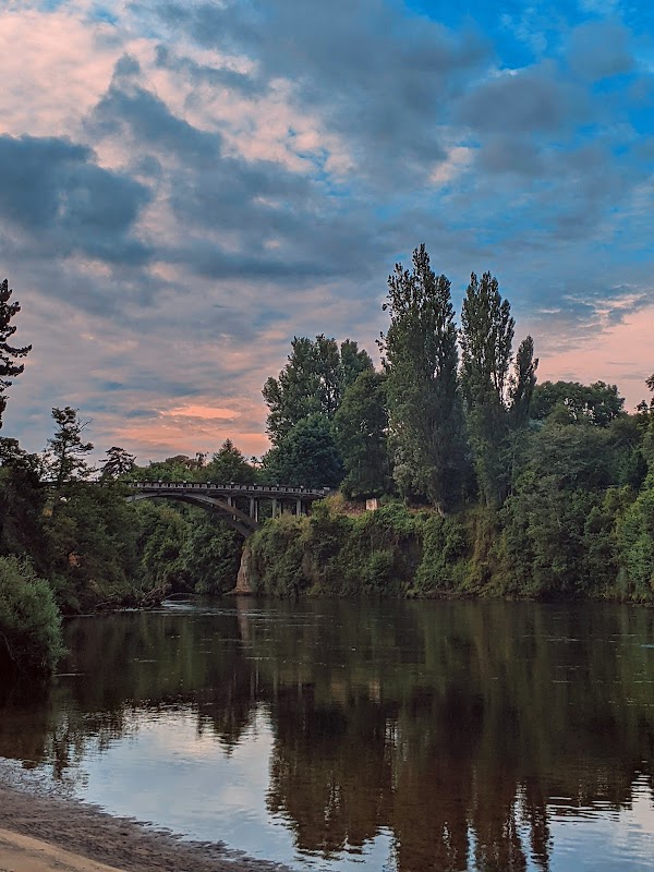 Waikato District