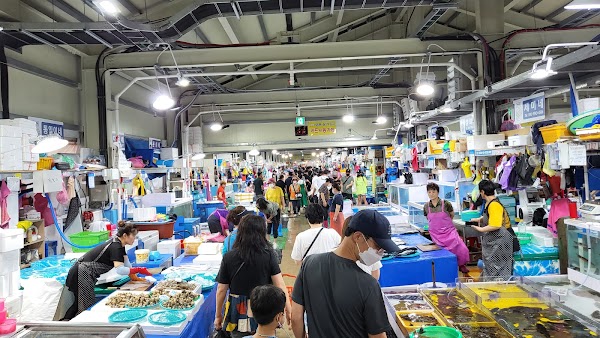 Jumunjin Fish Market 6