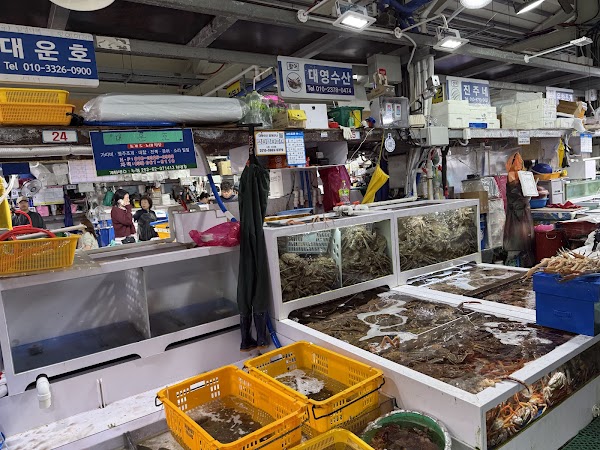 Jumunjin Fish Market 5