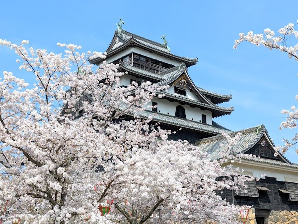 Matsue Castle 5