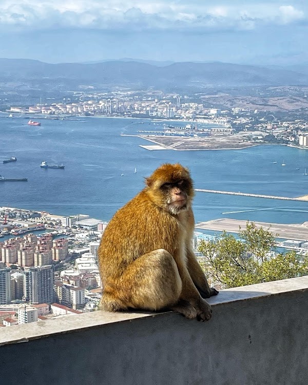 Rock of Gibraltar 3
