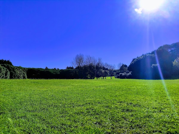 Parque da Cidade do Porto 2